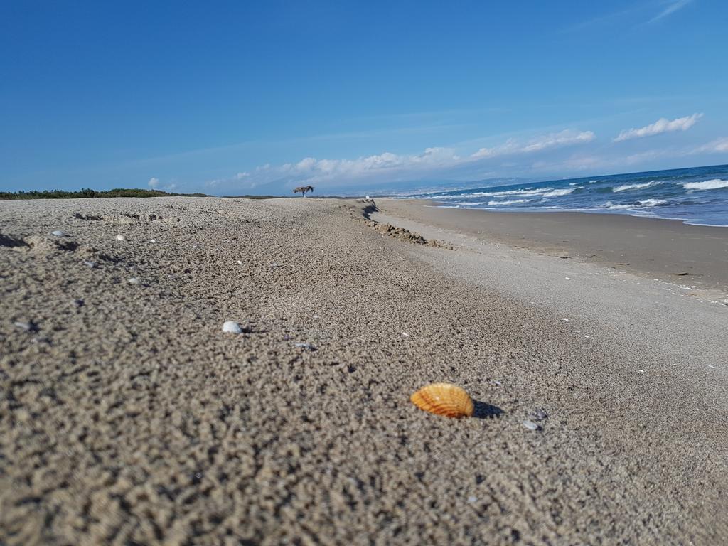 Villa Sulla Spiaggia Tra Catania E Siracusa أغنون باني المظهر الخارجي الصورة